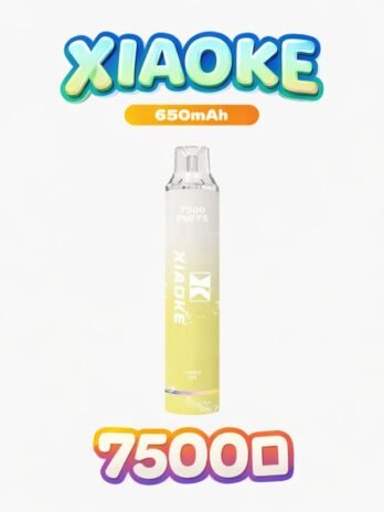 XIAOKE 梟客 拋棄式電子煙 7500口 – 可充電Type-C快充 8ml大容量煙油 650mAh電池 網狀霧化芯 台灣現貨